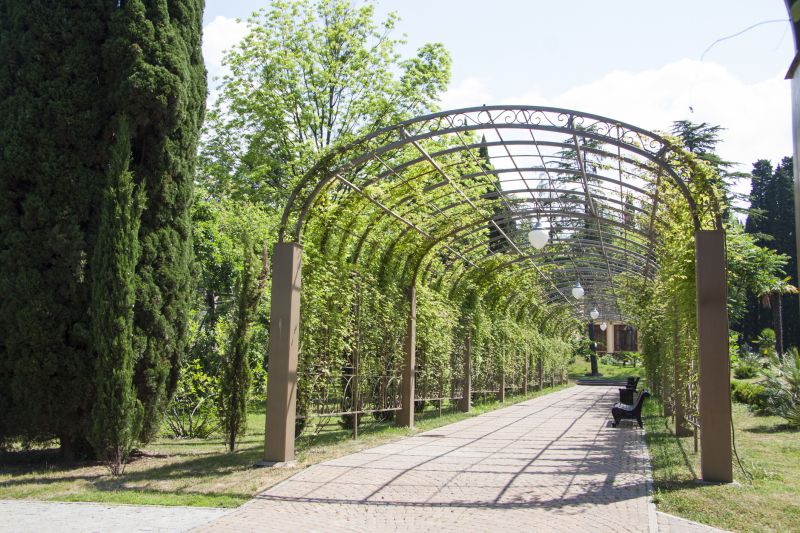 Accessibility & Comfort