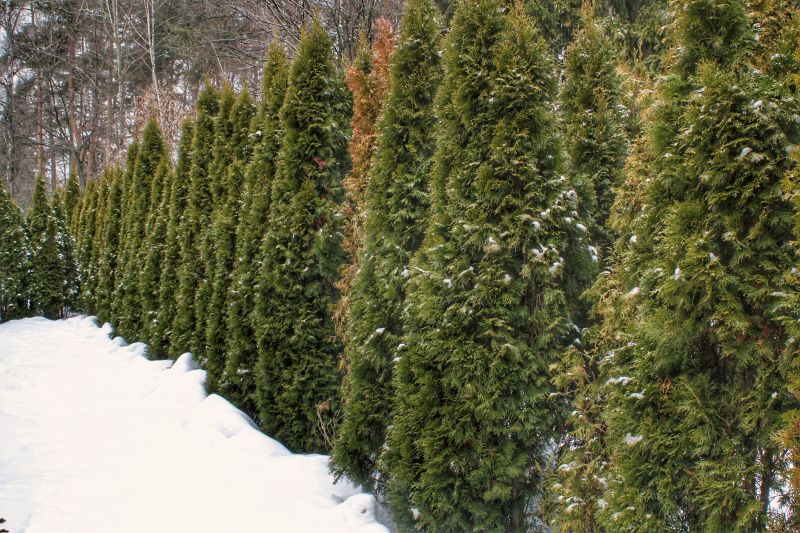 Winter Planting Preparation